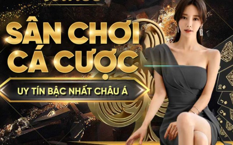 Điền chính xác thông tin như form yêu cầu